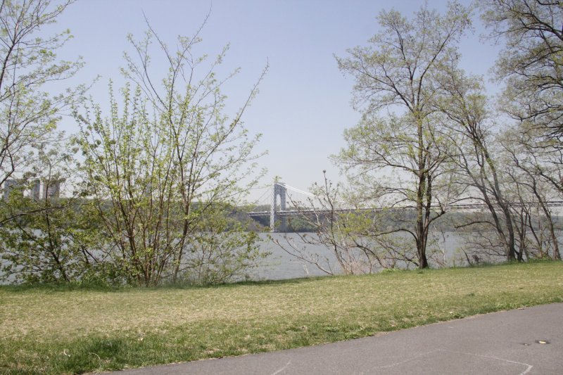ir-150507_12-50_5435.jpg