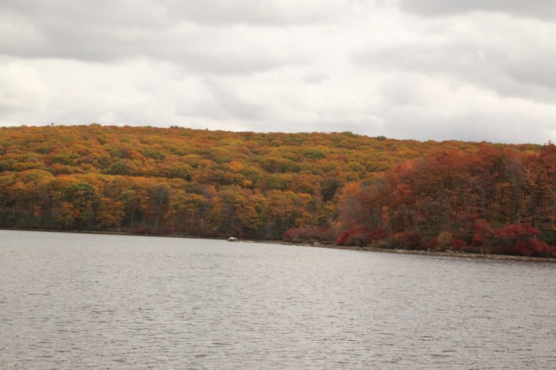 ir-IMG_1955.jpg