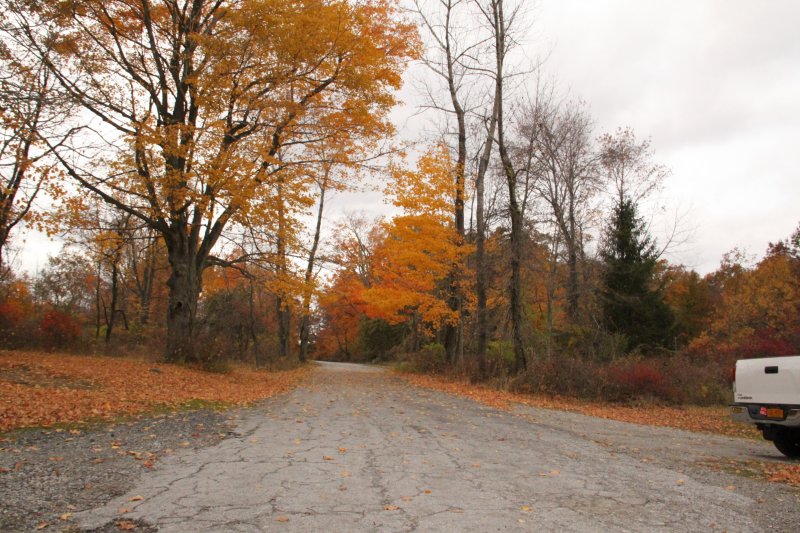 ir-IMG_1960.jpg