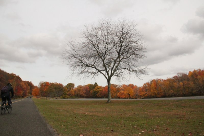 ir-IMG_1984.jpg