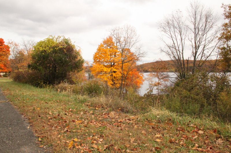 ir-IMG_1987.jpg