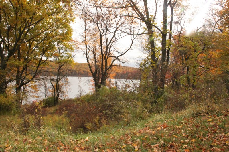ir-IMG_1989.jpg