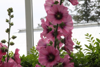 ir-130605_12-07_1527.jpg