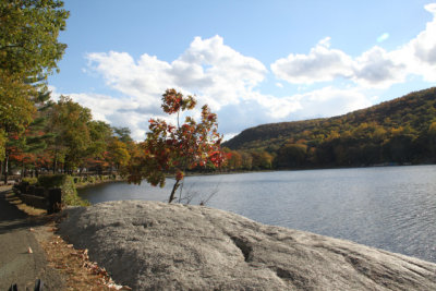 ir-131024_14-35_4344.jpg
