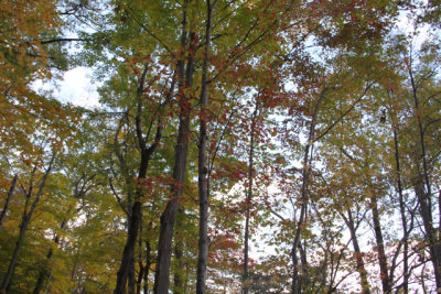 ir-131024_14-56_4367.jpg