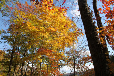 ir-131024_15-01_4376.jpg