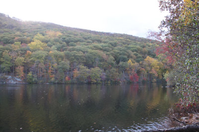 ir-131024_15-05_4382.jpg