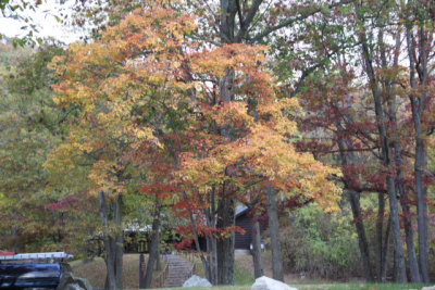 ir-131024_15-16_4385.jpg