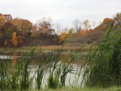ir-131106_14-58_4486L.jpg