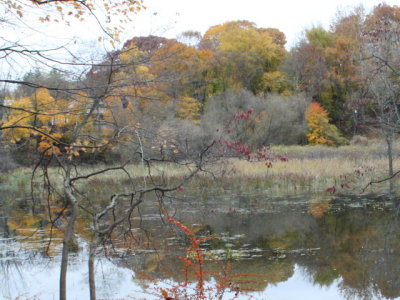 ir-131106_15-29_4507L.jpg