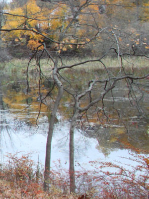 ir-131106_15-30_4509P.jpg