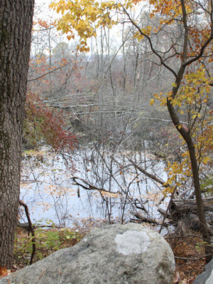 ir-131106_15-32_4515P.jpg
