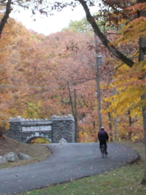 ir-131106_15-38_4522P.jpg