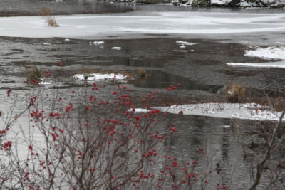 ir-131211_15-08_5330.jpg