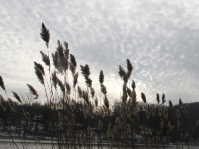 ir-131211_14-56_5317L.jpg