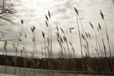 ir-140506_09-53_7025.jpg