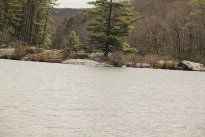 ir-140506_10-12_7036.jpg