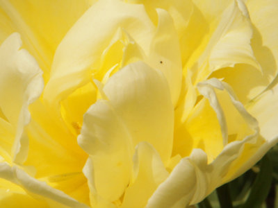 ir-140507_13-22_7194L.jpg