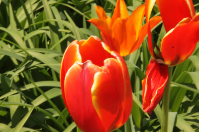 ir-140507_11-47_7060.jpg