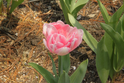 ir-140507_11-50_7067.jpg