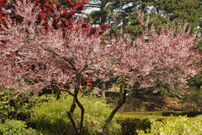 ir-140507_12-00_7086.jpg