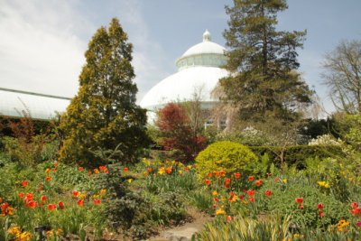 ir-140507_12-02_7089.jpg
