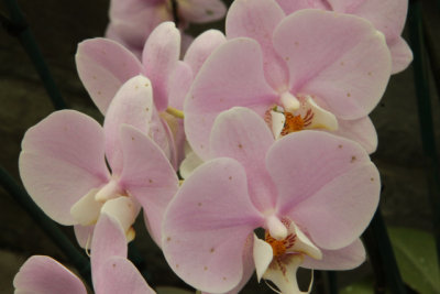 ir-140507_12-38_7110.jpg