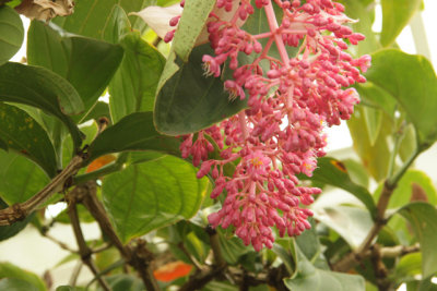 ir-140507_13-01_7154.jpg