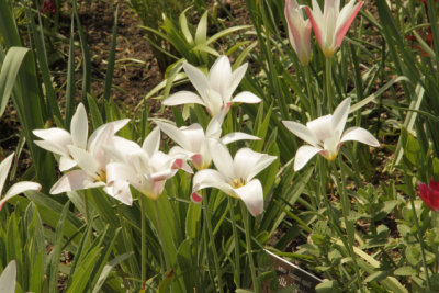 ir-140507_13-15_7170.jpg