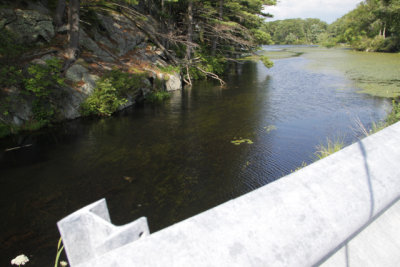 ir-140717_15-32_9160.jpg