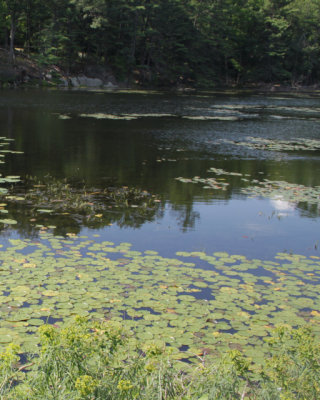 ir-140717_15-27_9152P.jpg