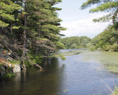 ir-140717_15-32_9159L.jpg