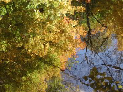 R-10180040_StainedGlassSaddleRiver.jpg