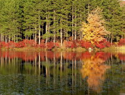 R-10242955_LakeKanawaukeHarrimanCR.jpg