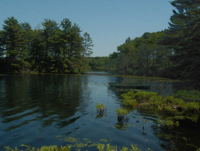 ir-080716_0013_LakeTiorati_8x10L_PS_NO_Cloud_Lightened.jpg
