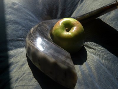 #1_ r-20050930_0007_appleandshofar.jpg