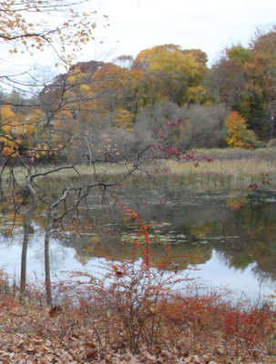 ir-131106_15-30_4510P-StonyPointStatePark,NY.jpg