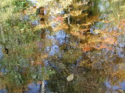 R-10180017_SaddleRiverMagic.jpg