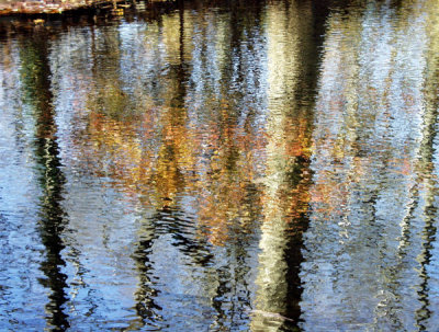 ir-199911110017_SadleRiverReflections.jpg