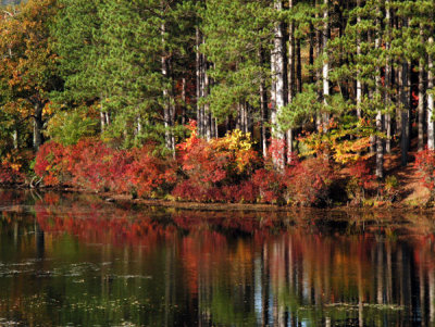 ir-200310242955_LakeKanawaukeHarrimanCR.jpg