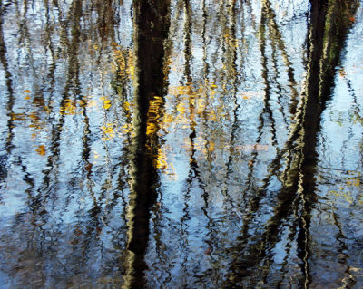 ir-199911110016_SadleRiverReflections.jpg