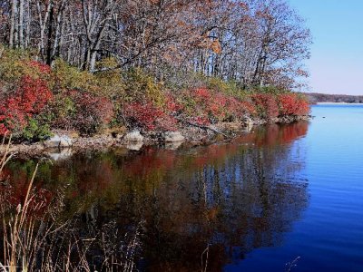 r-101102_10-36_8931l_welchlake_hsp_hp-adj.jpg