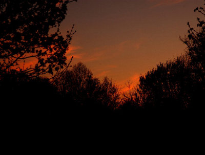 r-dsc_6505_Sunset_down_58 EastConcord_Driveway.jpg