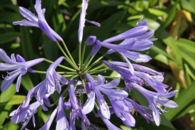 ir-140814_13-16_9800.jpg