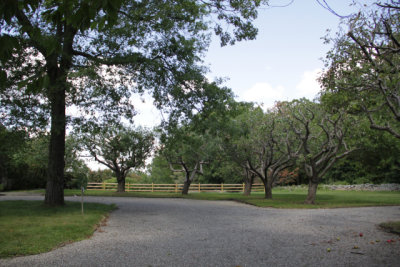 ir-140814_13-26_9810.jpg