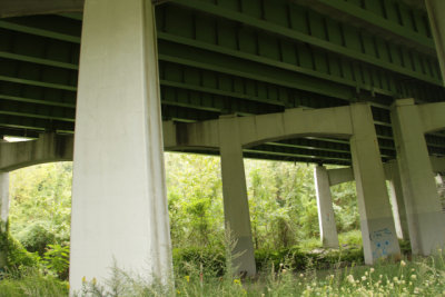 ir-140911_10-56_0091.jpg