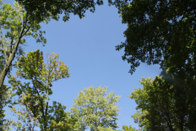 ir-140923_12-16_0242.jpg