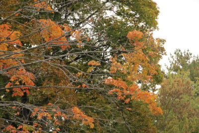 ir-140929_12-48_0263.jpg