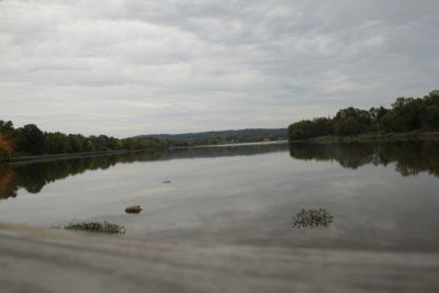 ir-140929_12-55_0270.jpg