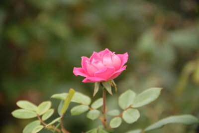 ir-140929_13-34_0274.jpg